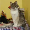 Отзыв от Варвара Пименова